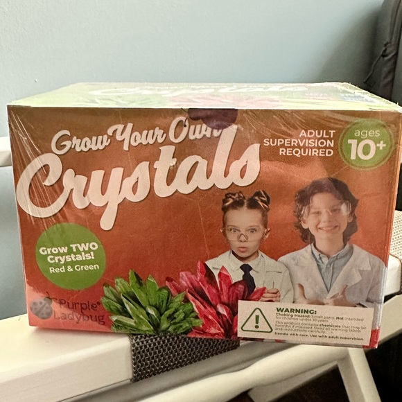 Purple Ladybug Grow Your Own Crystals Red and Green Stem - Picture 4 of 10